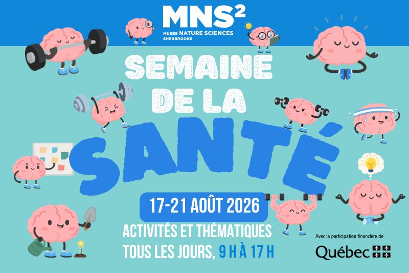 Des tiques aux smoothies : une semaine santé pas comme les autres à Sherbrooke